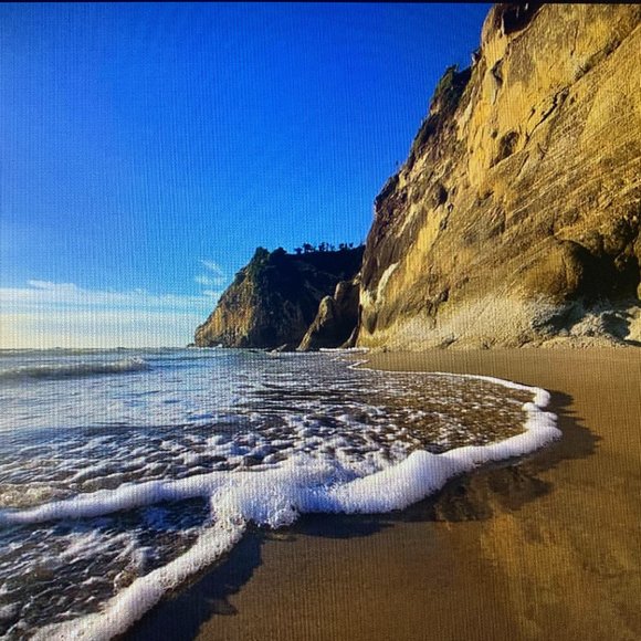 Meet Your Posher & Ambassador II… Sunshine ☀️ - Picture 1 of 1